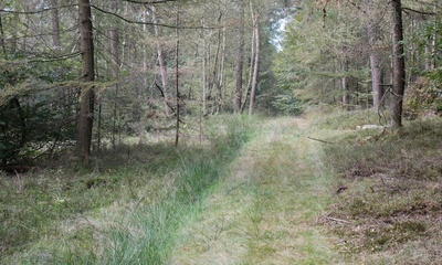 Middachterveld