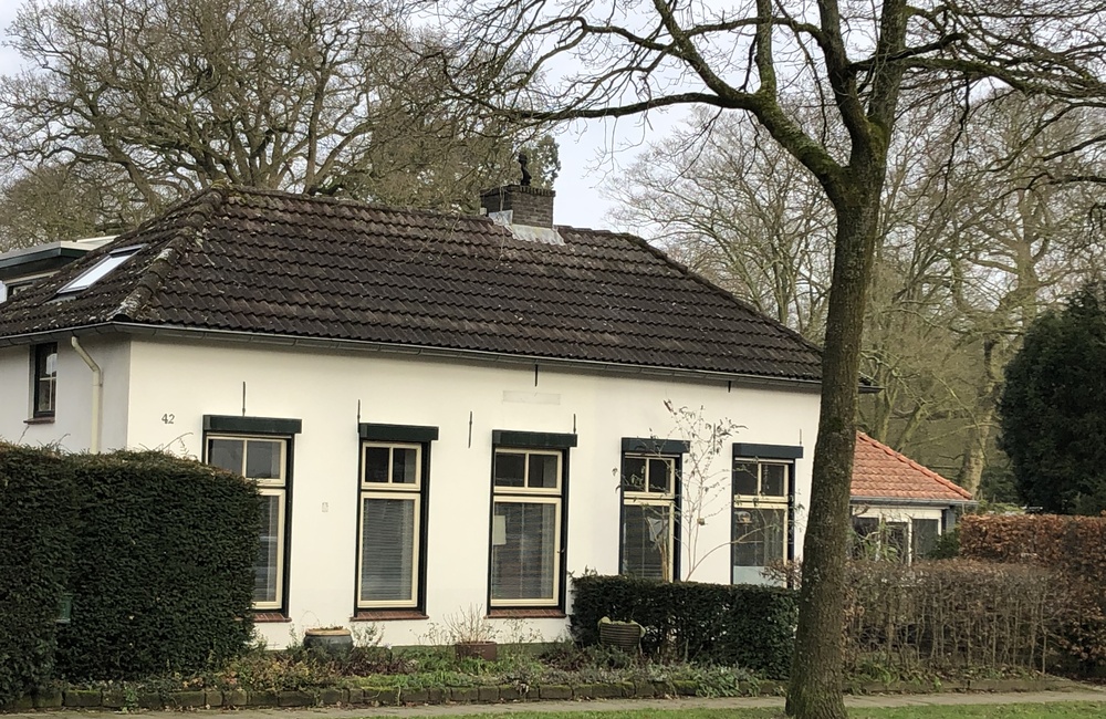 Ringallee