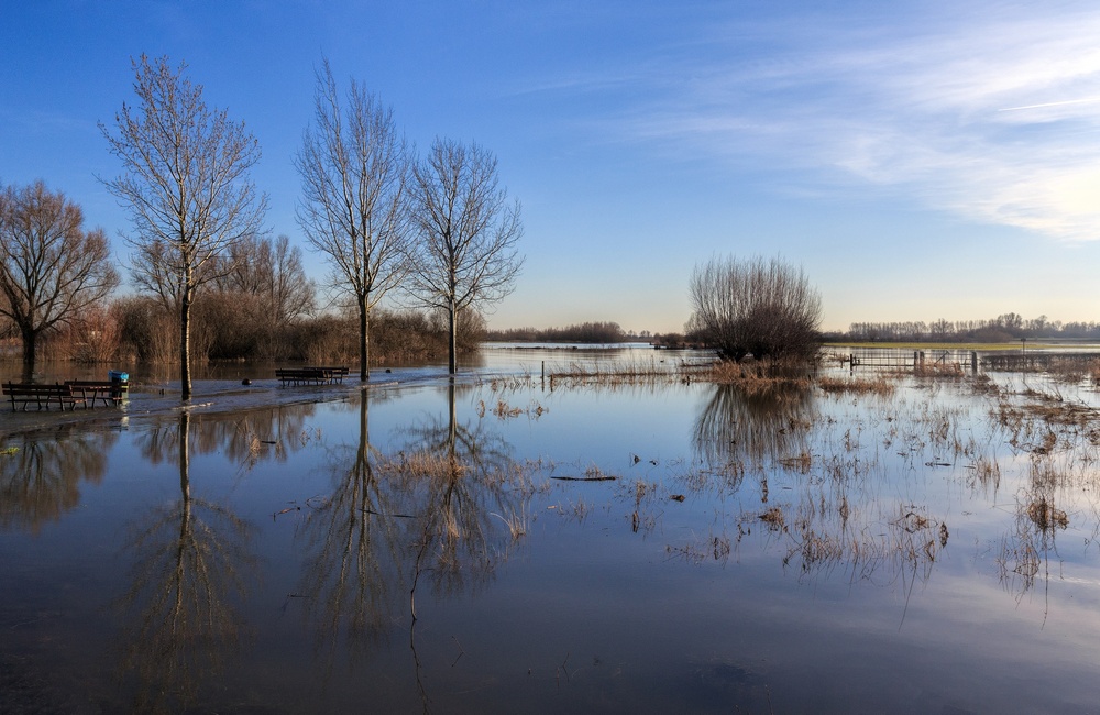 Overstroomde uiterwaarden Dieren - 2016