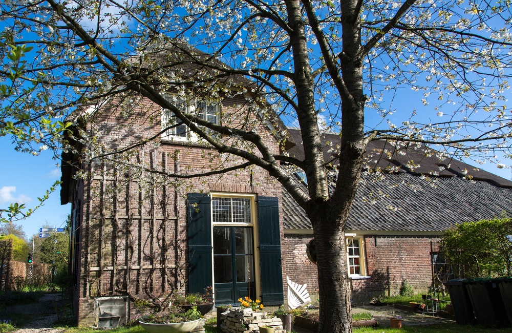 Detail rechter zijgevel voorhuis Hoeve Heidelust - 2016