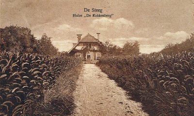 Bosbaaswoning De Kokkenberg