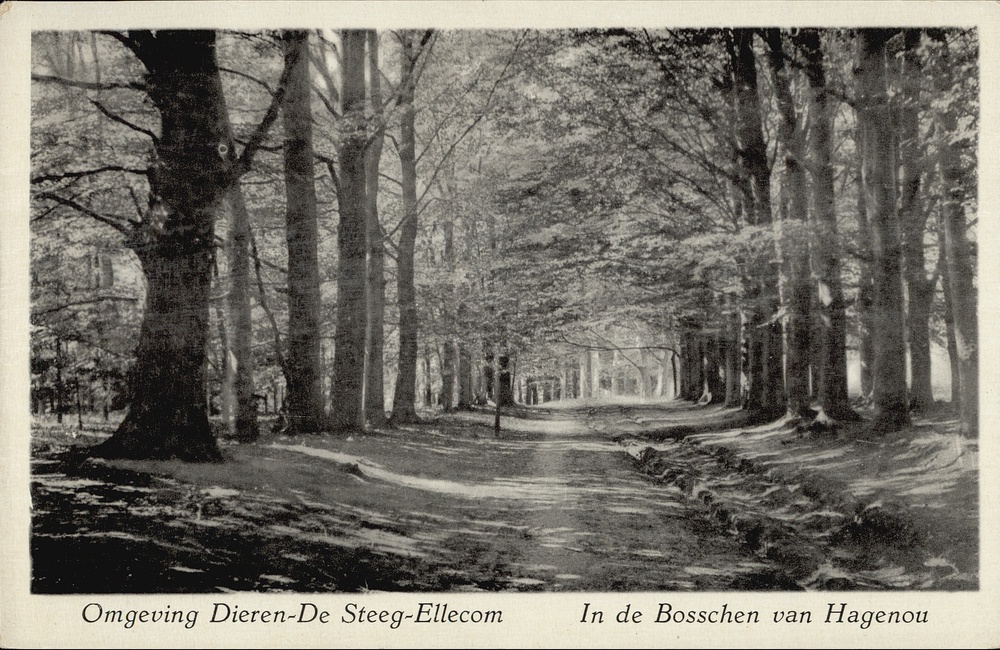 Koningsweg in bossen Hagenau - 1918