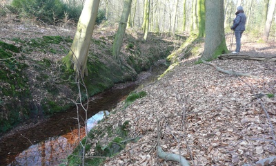 Oorsprong Rozendaalse beek