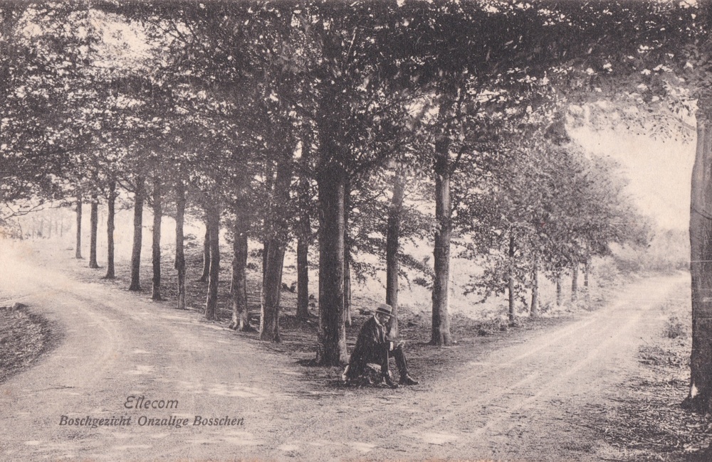 Het Onzalige Bos - 1919