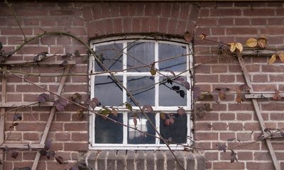 Detail stalgevel