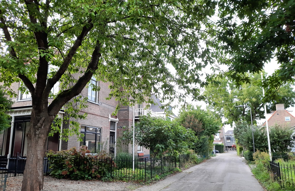 Frederikstraat - 2026