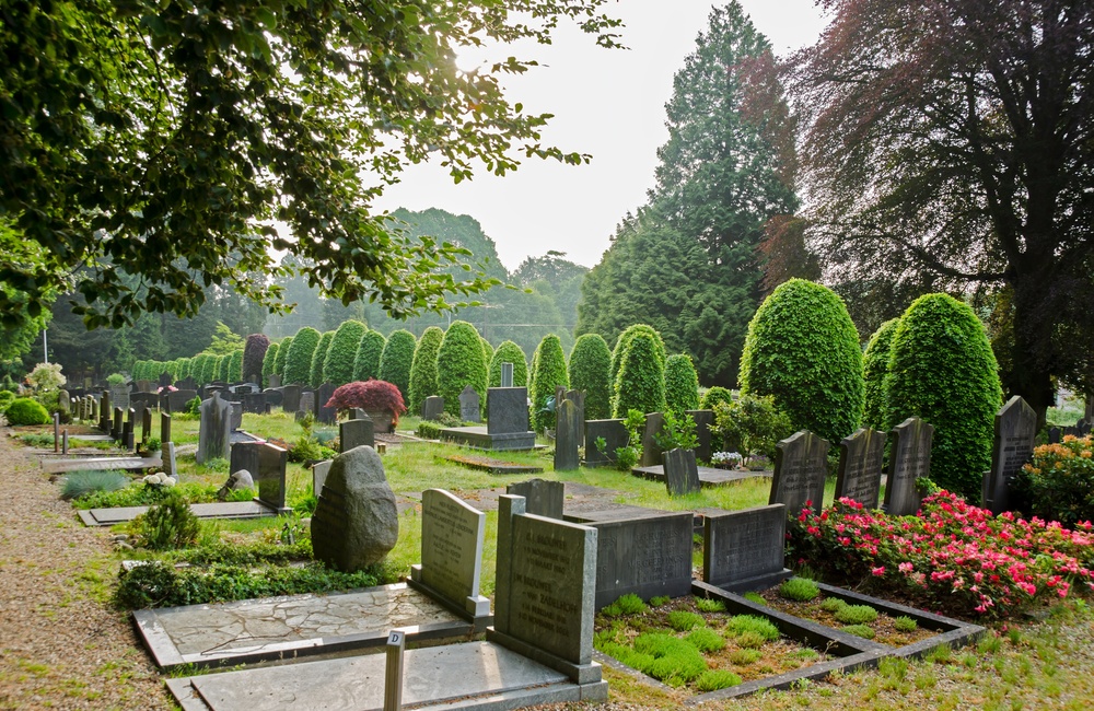 Overzicht begraafplaats - 2016