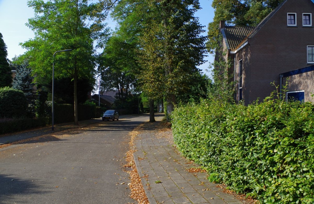 Waldeck Pyrmontlaan - 2016