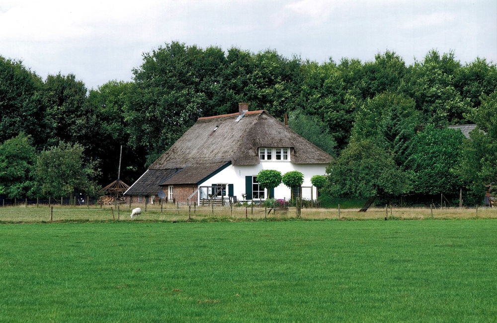 Gronouwe