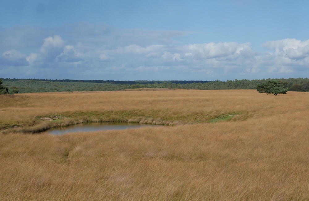 Leemkuil - nu meertje