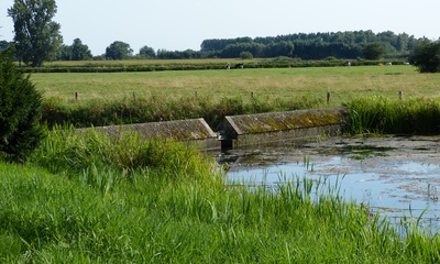 Hof te Dieren Stuw