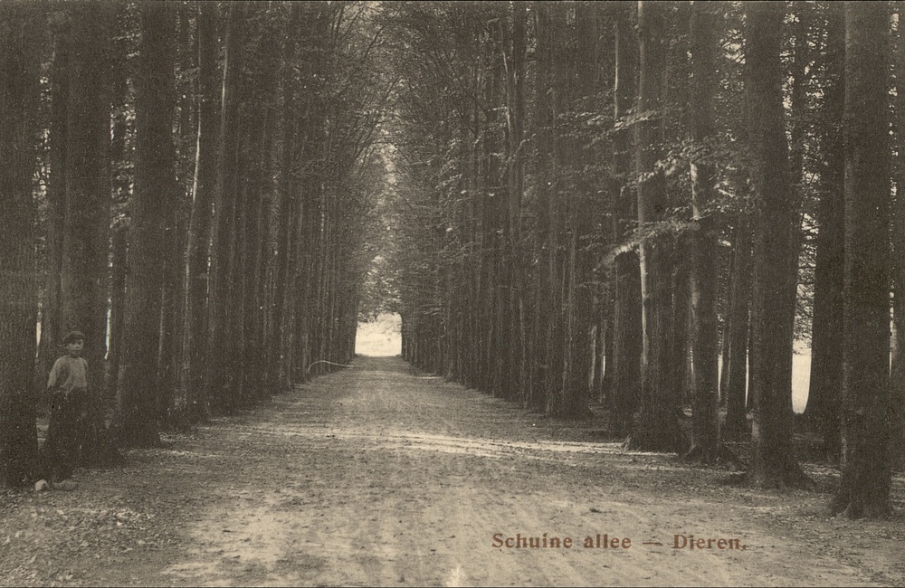 Schuine Laan - 1906