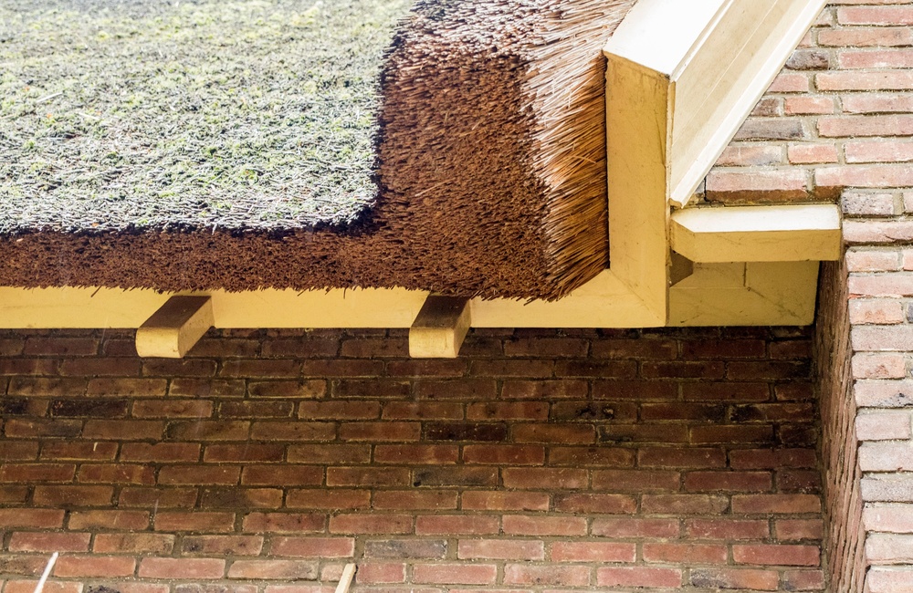 Detail rieten kap 2016