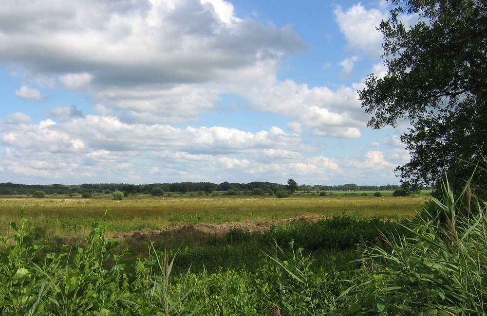 Natuurgebied het Broek - 2016