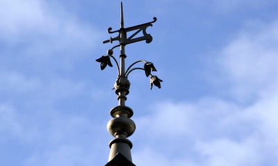 Detail dak