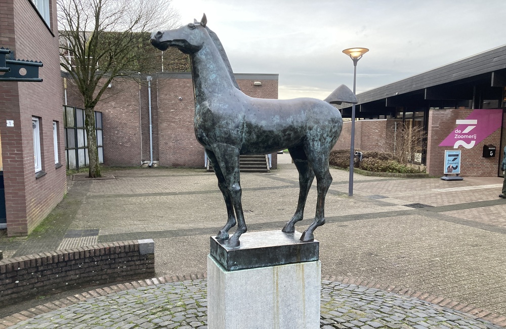 Paard