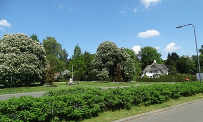 Het Rozenbos Rheden