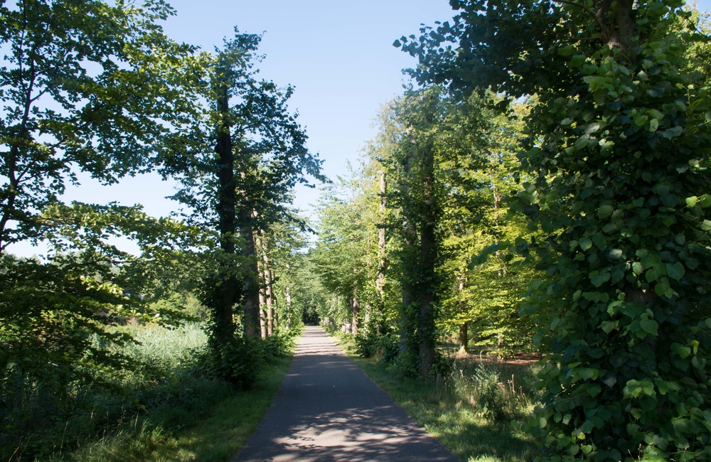 Biljoen