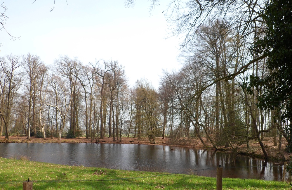 Vijver ten zuiden van Biljoen
