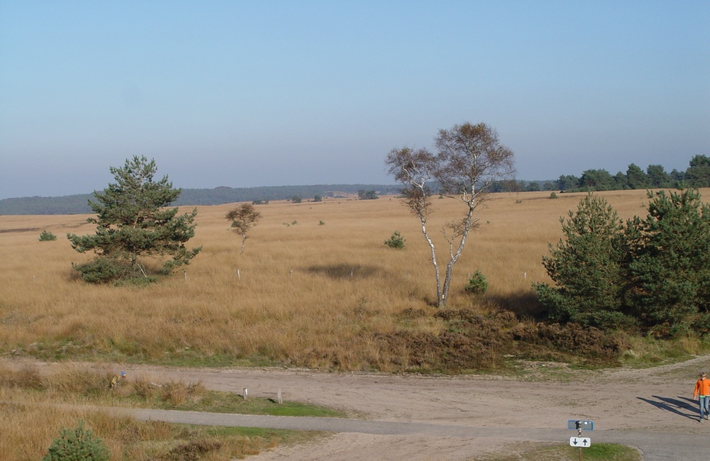 Kruising bij Brandtoren - 2011