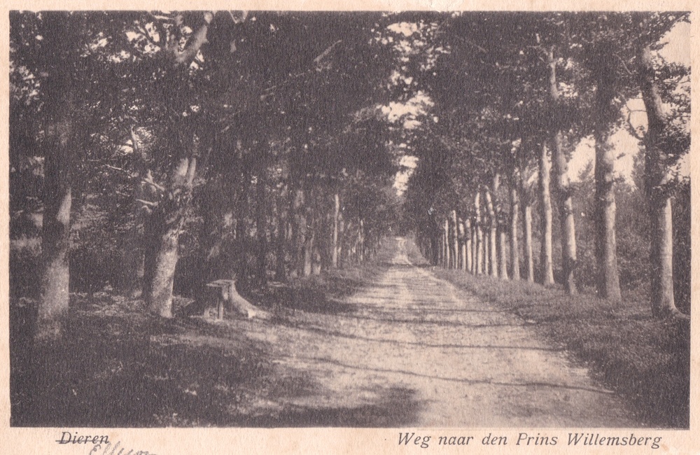 Prins Willemsberg -1937