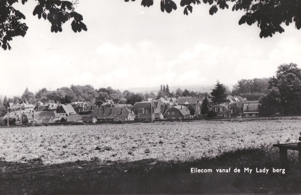 Zicht op Ellecom onder de boom op de Mylady"sberg - 1965