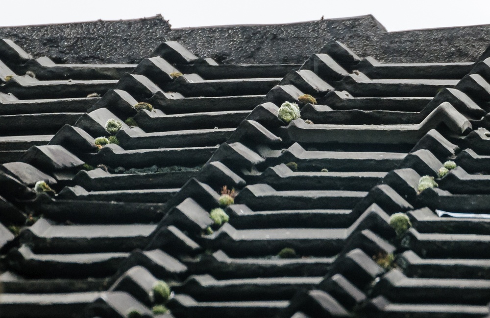 Detail dakbedekking 2016