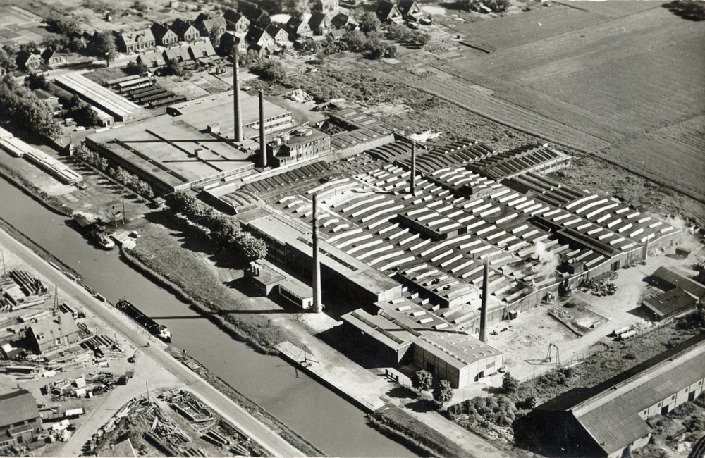 Edy na1950 WG