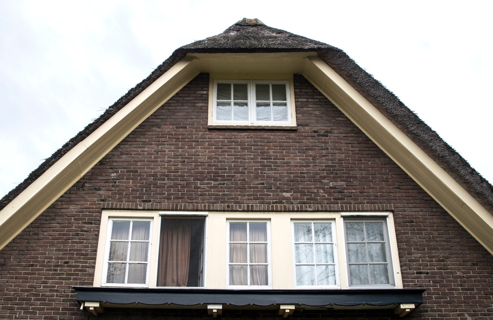 Detail zijgevel 2016