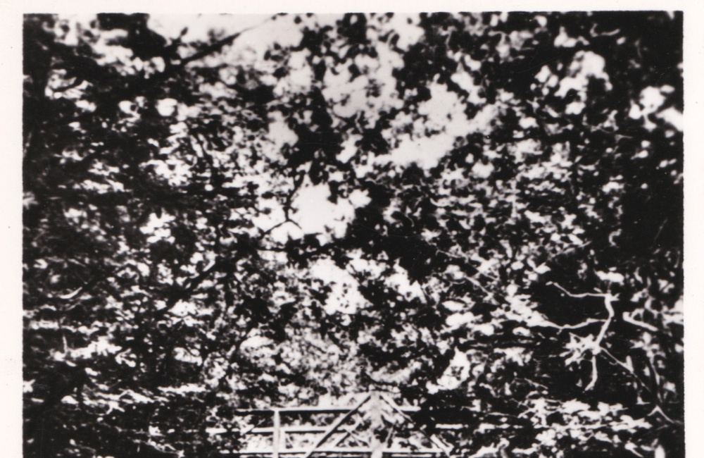 De Holleweg - 1962