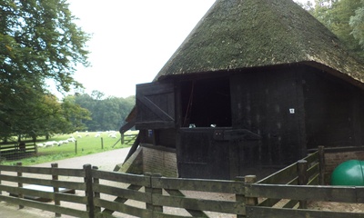 Schaapskooi