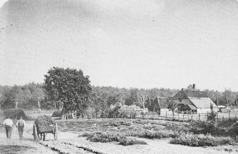 Terug naar de boerderij 1910
