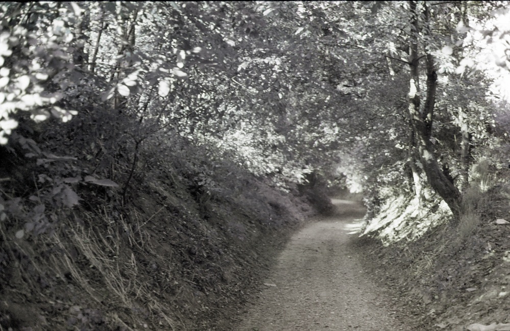 Snippendaal 1991. Holle weg. Collectie: Walter de Wit