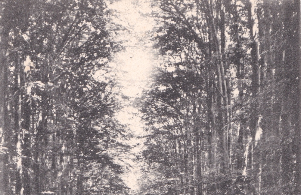 Middachterallee - 1923