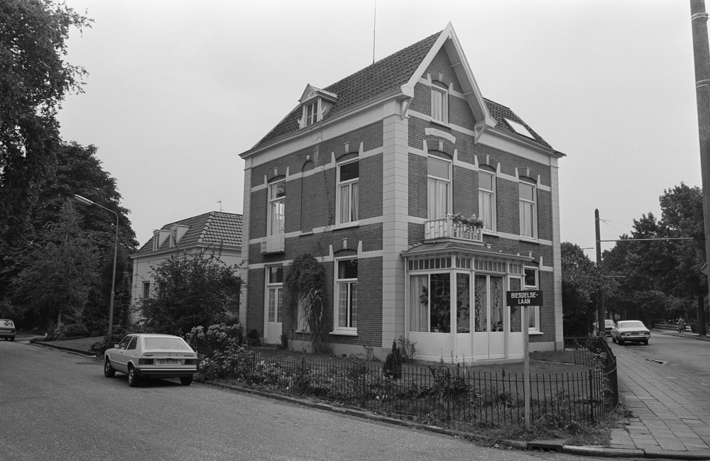 Hoek Hogeweg Biesdelselaan