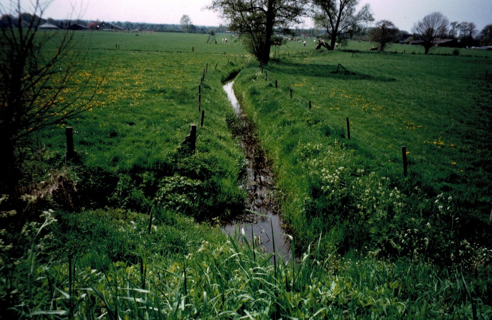 Assenbeek