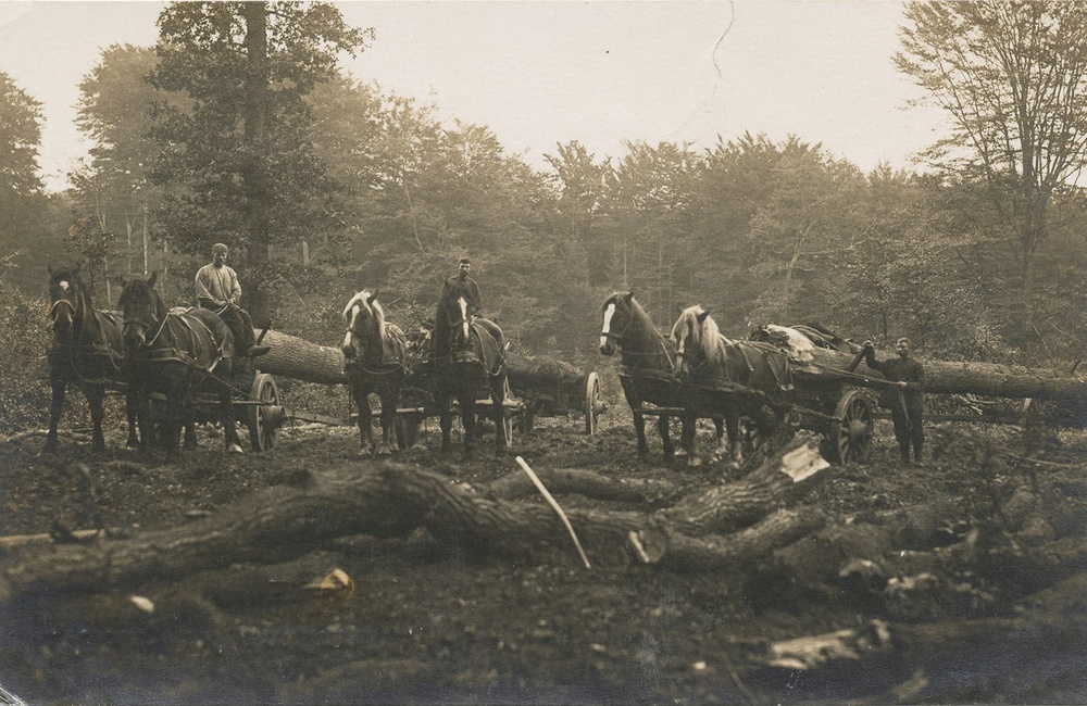 Hupkes bosarbeid 1930-1940