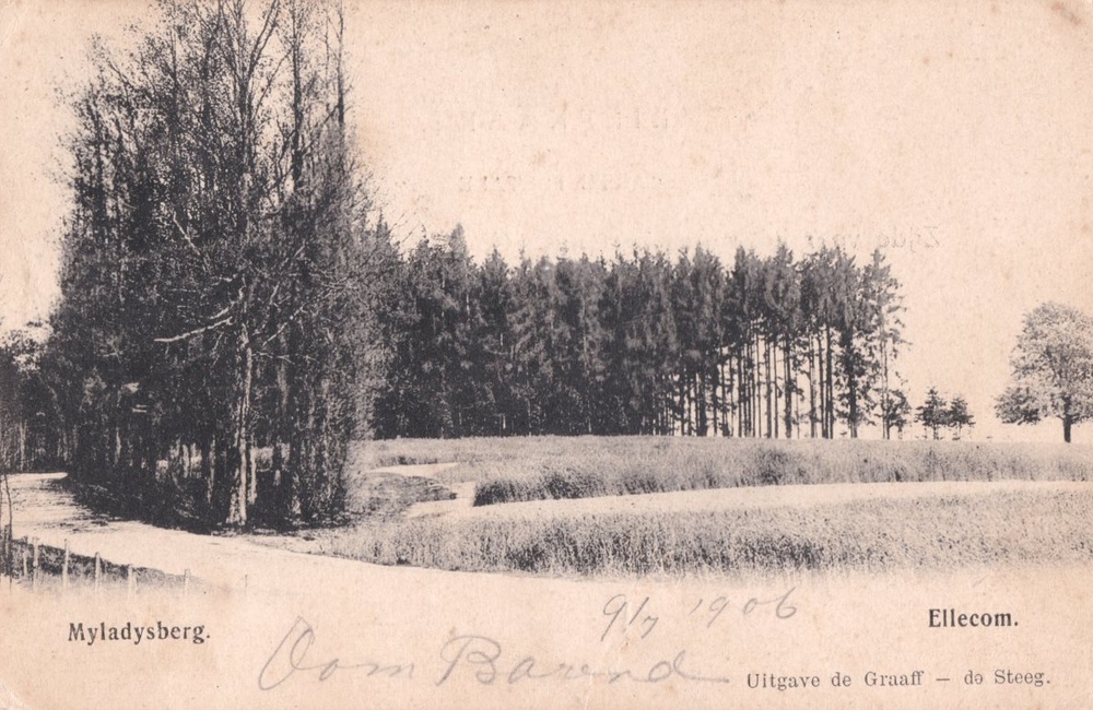Myladysberg