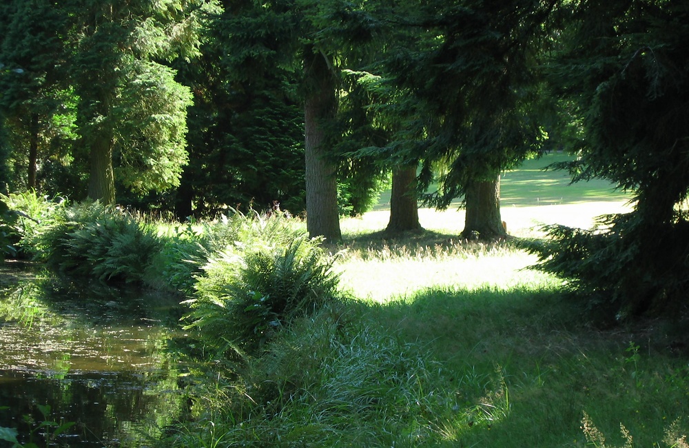 Park (2009)