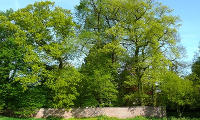 Park Klein Rosendael