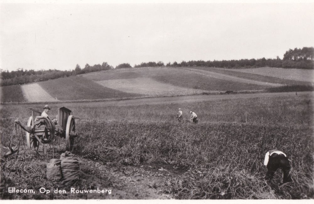 Op de Rouwenberg