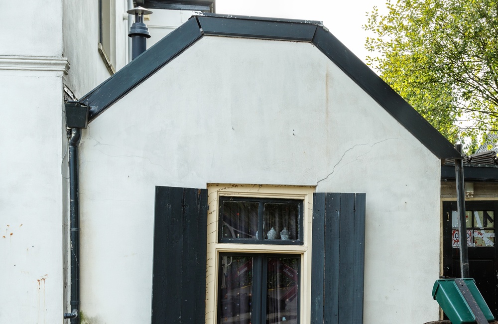 Detail rechterzijde voorgevel Boszicht  - 2016