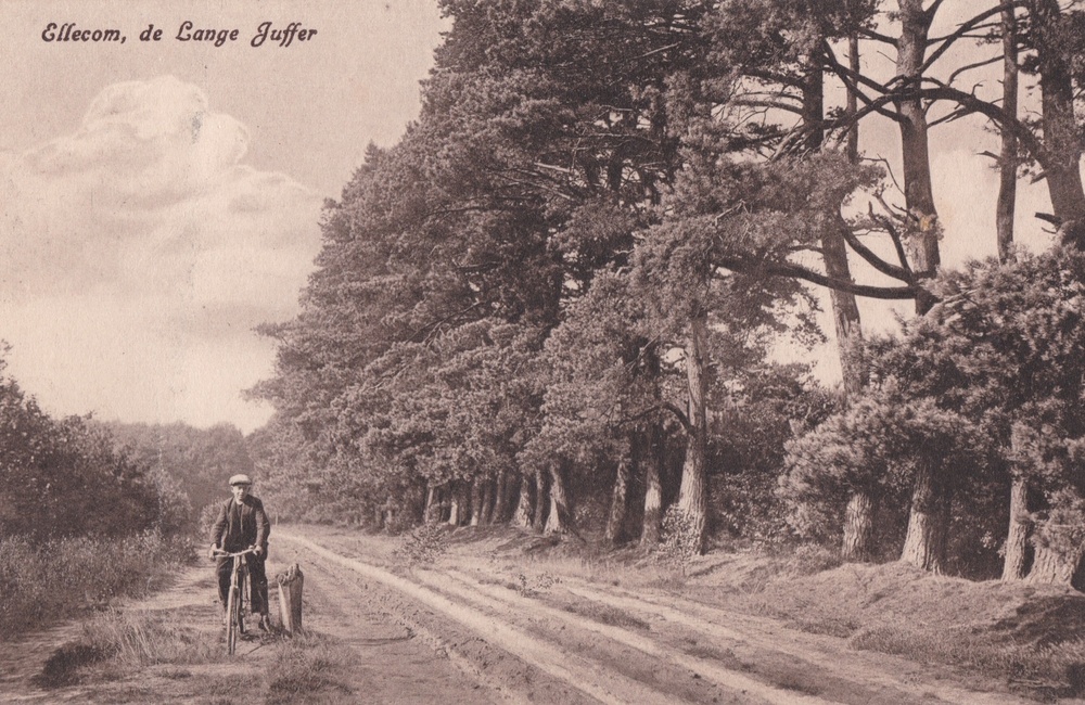 De Lange Juffer met fietser - 1921