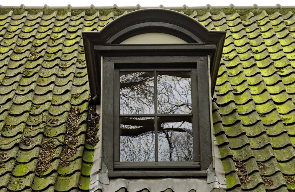 Oranjerie in het Carolinapark - 2016