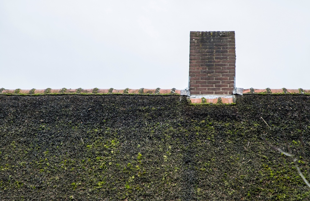 Rieten kap met terracotta nokvorsten 2016