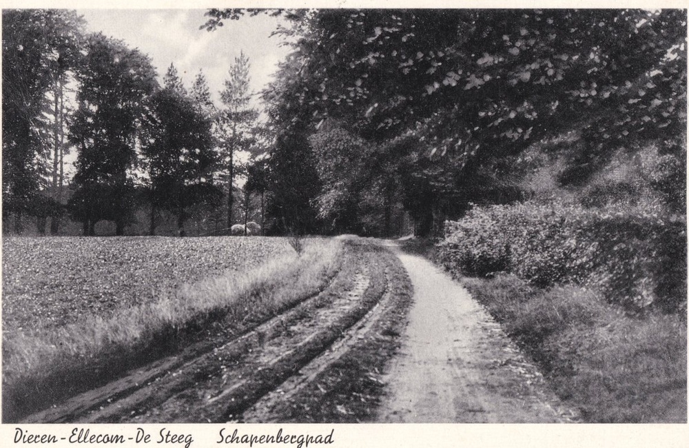 Oude Arnhemsestraatweg - 1943