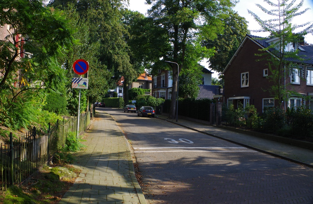Schonenbergsingel - 2016