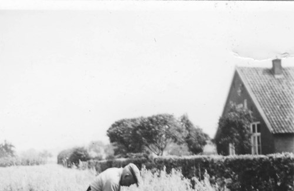 G.W. Stegerman sr.