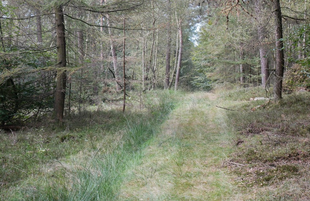 Het Veld - 2016