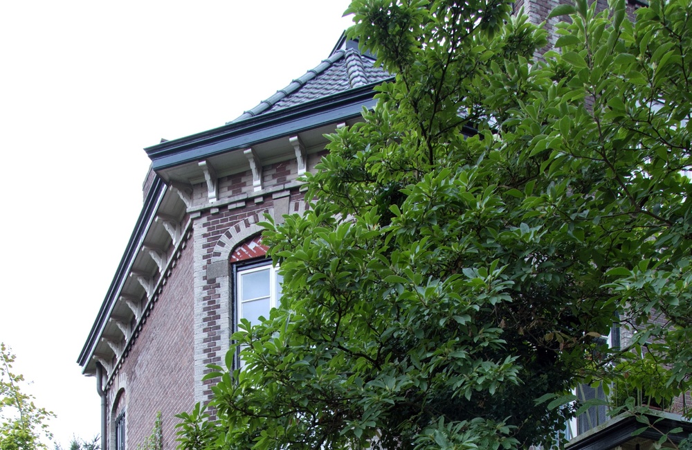 Linkerzijgevel - 2016